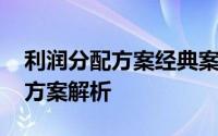 利润分配方案经典案例 一份详尽的利润分配方案解析