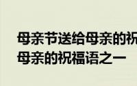 母亲节送给母亲的祝福语100字 母亲节送给母亲的祝福语之一