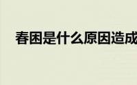 春困是什么原因造成的 可能是疾病信号）