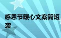 感恩节暖心文案简短（感恩节来了暖心文案来袭