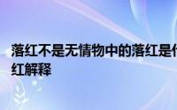 落红不是无情物中的落红是什么意思 落红不是无情物中的落红解释