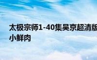 太极宗师1-40集吴京超清版剧情 吴京主演太极宗师时还是小鲜肉