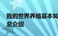 我的世界养殖基本知识 我的世界马的种类汇总介绍