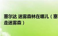 塞尔达 迷雾森林在哪儿（塞尔达传说荒野之息迷雾森林怎么走迷雾森）