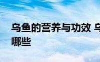 乌鱼的营养与功效 乌鱼的营养价值及功效有哪些