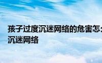 孩子过度沉迷网络的危害怎么办呢（建议父母这样防止孩子沉迷网络