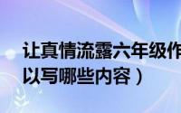 让真情流露六年级作文500字 让真情流露可以写哪些内容）