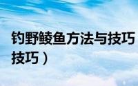 钓野鲮鱼方法与技巧（钓鱼技巧之鲮鱼的实用技巧）