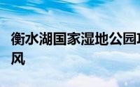 衡水湖国家湿地公园攻略（衡水湖畔现江南古风