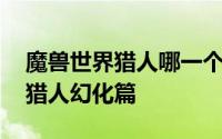 魔兽世界猎人哪一个种族幻化最帅 魔兽世界猎人幻化篇