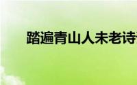 踏遍青山人未老诗词 踏遍青山人未老