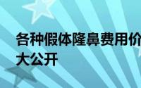 各种假体隆鼻费用价格表案例 注射隆鼻价格大公开