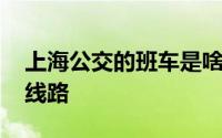 上海公交的班车是啥意思 沪上这些文字公交线路