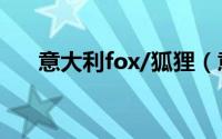 意大利fox/狐狸（意大利狐狸犬简介）