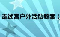 走迷宫户外活动教案（户外游戏走迷宫简介）