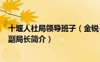 十堰人社局领导班子（金锐-湖北省十堰市人社局党组成员、副局长简介）