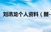 刘浩龙个人资料（嬲-刘浩龙演唱歌曲简介）