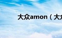 大众amon（大众Amarok简介）