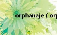 orphanaje（orphanhood简介）