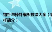 钩针与棒针编织技法大全（编织家园2008：棒针钩针编织花样简介）