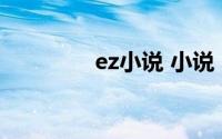 ez小说 小说（E小说简介）