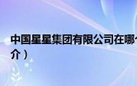 中国星星集团有限公司在哪个省（中国星星集团有限公司简介）