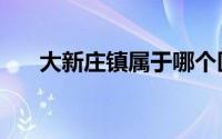 大新庄镇属于哪个区（大新庄镇简介）