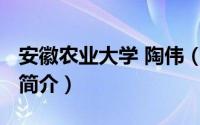 安徽农业大学 陶伟（陶伟-安徽农业大学教师简介）