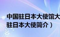 中国驻日本大使馆大使新任（杨振亚-中国前驻日本大使简介）