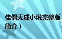 佳偶天成小说完整版（佳偶天成之老公不好惹简介）