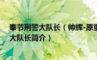 奉节刑警大队长（帅辉-原重庆市奉节县公安局刑侦大队副大队长简介）