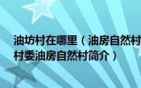 油坊村在哪里（油房自然村-云南昭通彝良县龙海乡镇河村村委油房自然村简介）