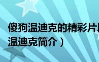 傻狗温迪克的精彩片段（国际大将小说：傻狗温迪克简介）