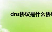 dns协议是什么协议（dns协议简介）