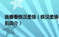 我要看铁汉柔情（铁汉柔情-1989年万梓良、吴佳丽主演电影简介）