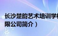 长沙楚韵艺术培训学校（长沙楚韵平面设计有限公司简介）