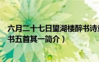 六月二十七日望湖楼醉书诗意简介（六月二十七日望湖楼醉书五首其一简介）