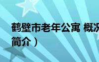 鹤壁市老年公寓 概况（鹤壁市老寿星养老院简介）