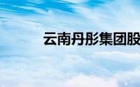 云南丹彤集团股份有限公司简介