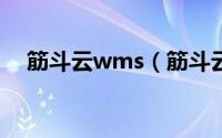 筋斗云wms（筋斗云-flash小游戏简介）