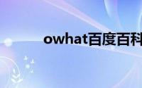 owhat百度百科（Owhat简介）