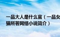 一品大人是什么官（一品女相：大人别惹我-年纪轻轻有了猫所著网络小说简介）