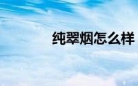 纯翠烟怎么样（纯翠网简介）