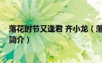 落花时节又逢君 齐小龙（落花时节又逢君-齐小龙演唱歌曲简介）