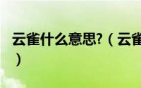 云雀什么意思?（云雀-百灵科云雀属鸟类简介）