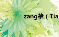 zang挚（Tiamo挚诺简介）