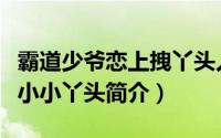 霸道少爷恋上拽丫头人员名单（霸道少爷恋上小小丫头简介）