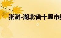 张澍-湖北省十堰市委常委、副市长简介