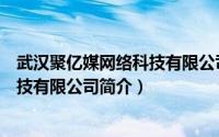 武汉聚亿媒网络科技有限公司简介图片（武汉聚亿媒网络科技有限公司简介）