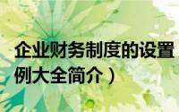 企业财务制度的设置（企业财务制度设计与案例大全简介）